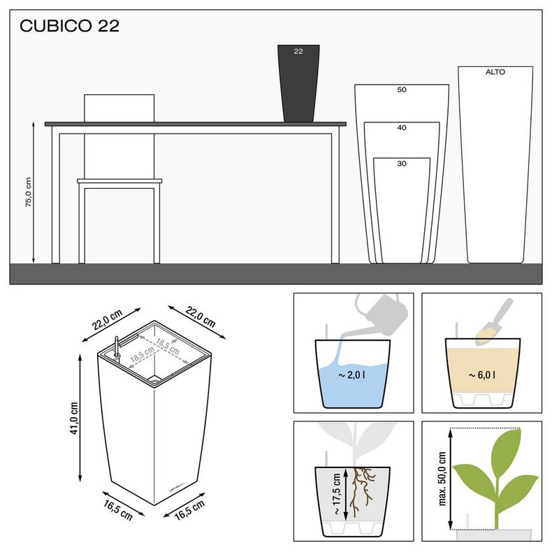 le_cubico22_product_addi_nz